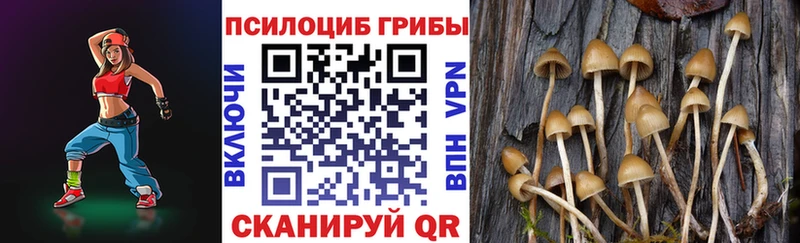 продажа наркотиков  ОМГ ОМГ tor  Галлюциногенные грибы прущие грибы  Самара 