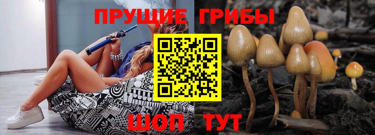 купить закладку  Вход с VPN  Самара  Галлюциногенные грибы прущие грибы 
